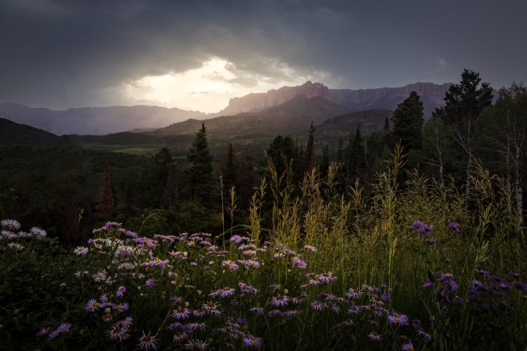 phoenix vacation rentals for snowbirds