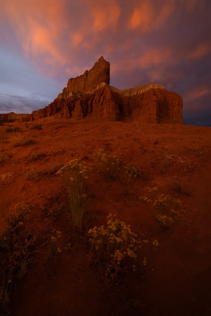 phoenix vacation rentals for snowbirds