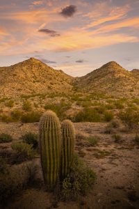 phoenix vacation rentals for snowbirds