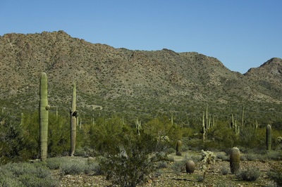 phoenix vacation rentals for snowbirds