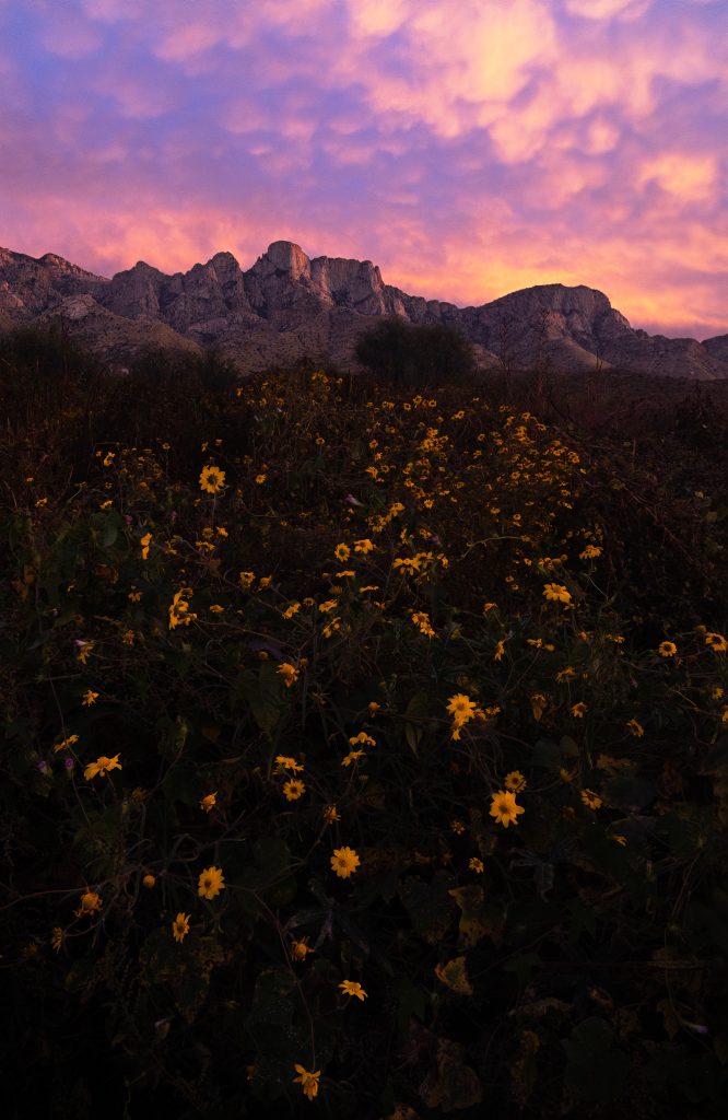 phoenix vacation rentals for snowbirds