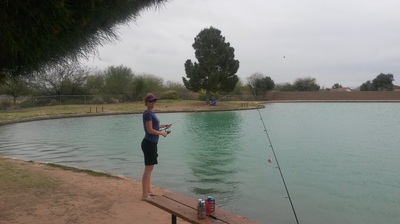 phoenix vacation rentals for snowbirds