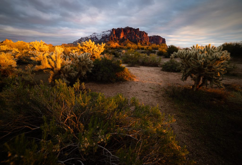 phoenix vacation rentals for snowbirds