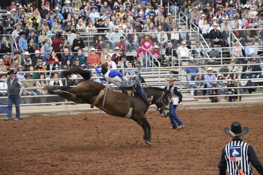 phoenix vacation rentals for snowbirds